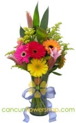 gerberas-y-lilis