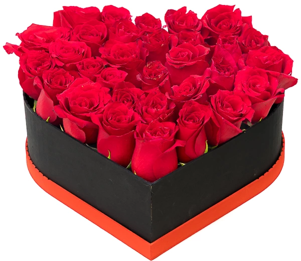 Rosas rojas en elegante caja corazón